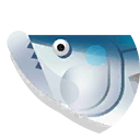 white-tuna
