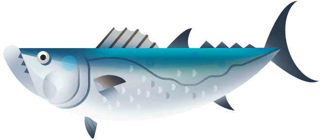 White-Tuna in Paradise Island