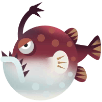 Pacific Footballfish in Paradise Island