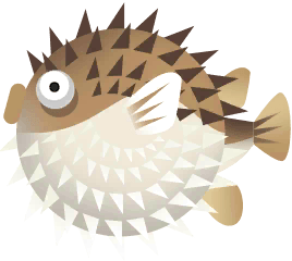 Spot-Fin Porcupinefish in Paradise Island