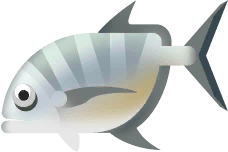 Blue Trevally in Paradise Island