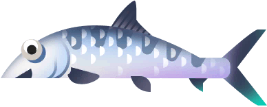 Bonefish in Paradise Island