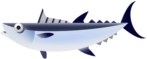 Longtail Tuna in Paradise Island