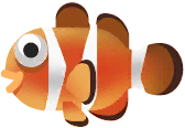 Clownfish in Paradise Island
