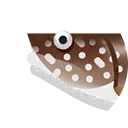 lake trout