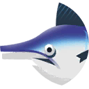 pacific sailfish