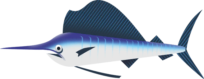 Pacific Sailfish in Costa Rica