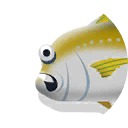 jack crevalle