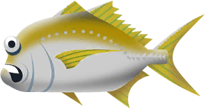 Jack Crevalle in Costa Rica