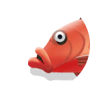 cubera snapper
