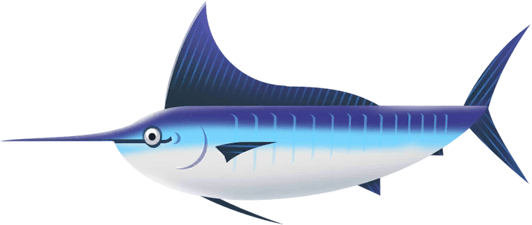 Blue Marlin in Costa Rica