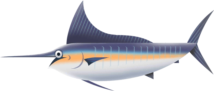 Striped Marlin in Costa Rica
