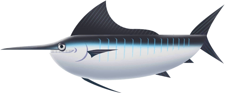 Black Marlin in Costa Rica