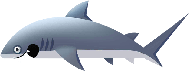 Bull Shark in Costa Rica