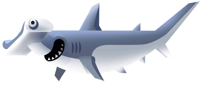 Hammerhead Shark in Costa Rica