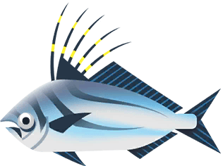 Roosterfish in Costa Rica