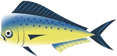 Dorado in Costa Rica