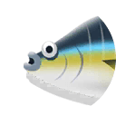 yellowfin tuna