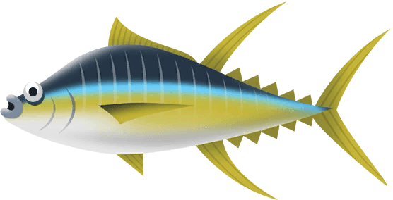 Yellowfin Tuna in Costa Rica