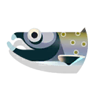 dolly varden