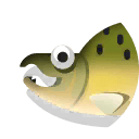humpback salmon