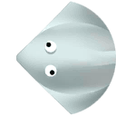 spiny skate