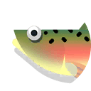 steelhead