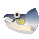 sockeye salmon