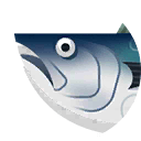 skipjack tuna