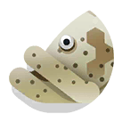 queensland grouper