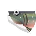 bull trout