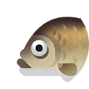 carp