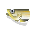 powan