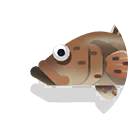 marbled sand goby