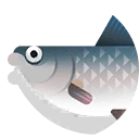 rohu