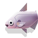 black ear catfish