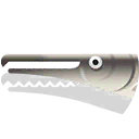 aligator gar