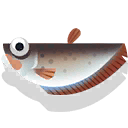 pla-kad thong