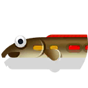 fire eel