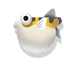 amazon puffer