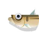 lambari
