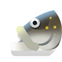 speckled pavon