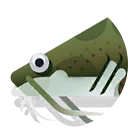 redtail catfish