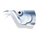 arowana