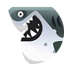 Great white shark