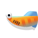 Haikouichthys