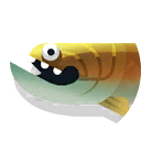 Gooloogongia