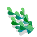 sea weed
