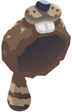 Beaver Hat in Great Lakes