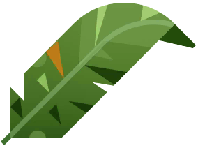 Palm Leaf in Costa Rica